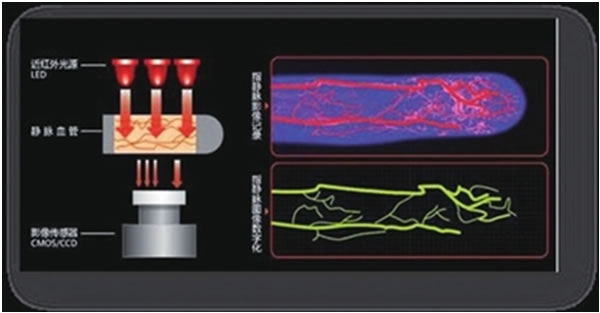 ָ�o�}�R(sh��)�e���mС���s������(zh��n)