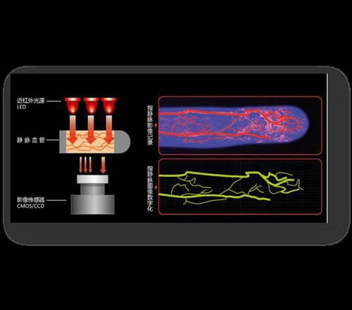 ָ�o�}�R(sh��)�e